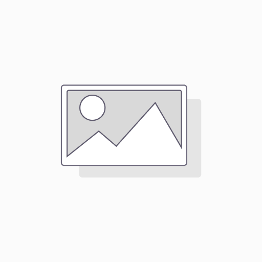 Accounting Audit -Adhoc-